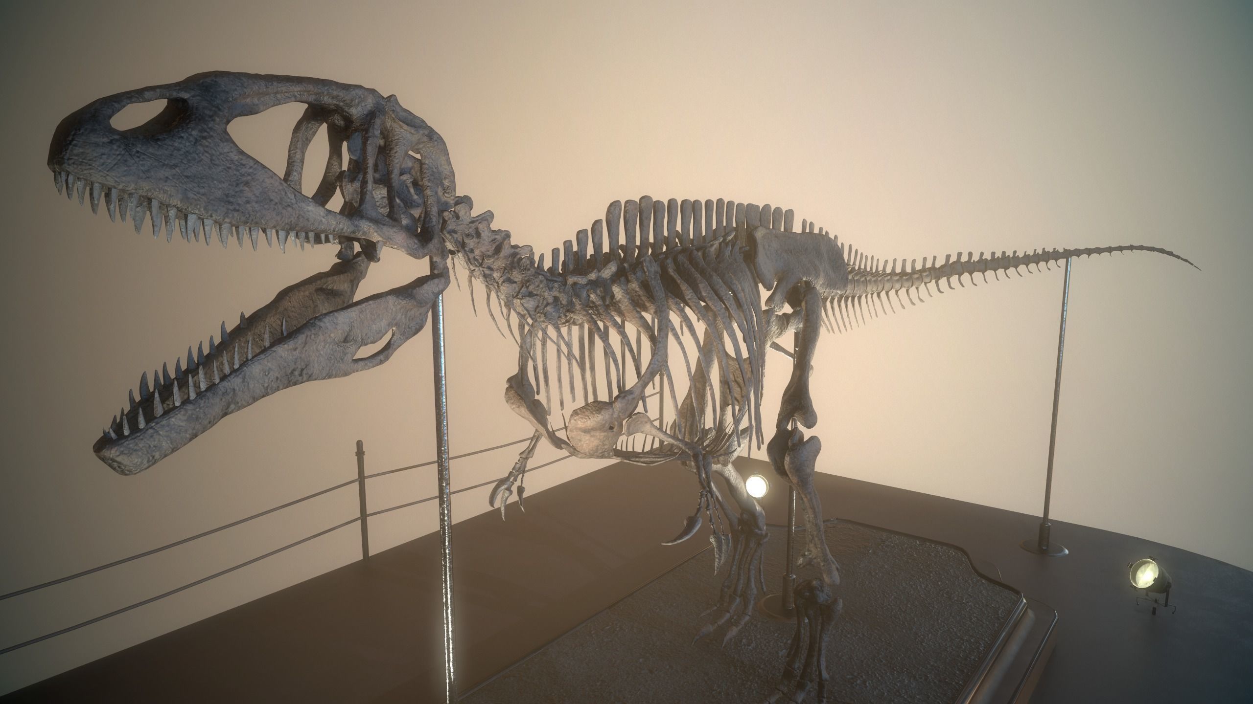 Carcharodontosaurus Skeleton 3D model_11