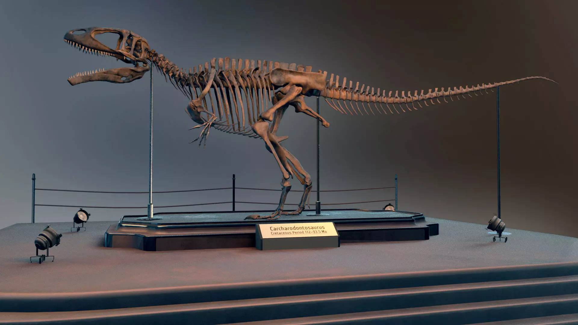 Carcharodontosaurus Skeleton 3D model_0
