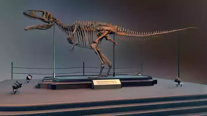 Carcharodontosaurus Skeleton 3D model