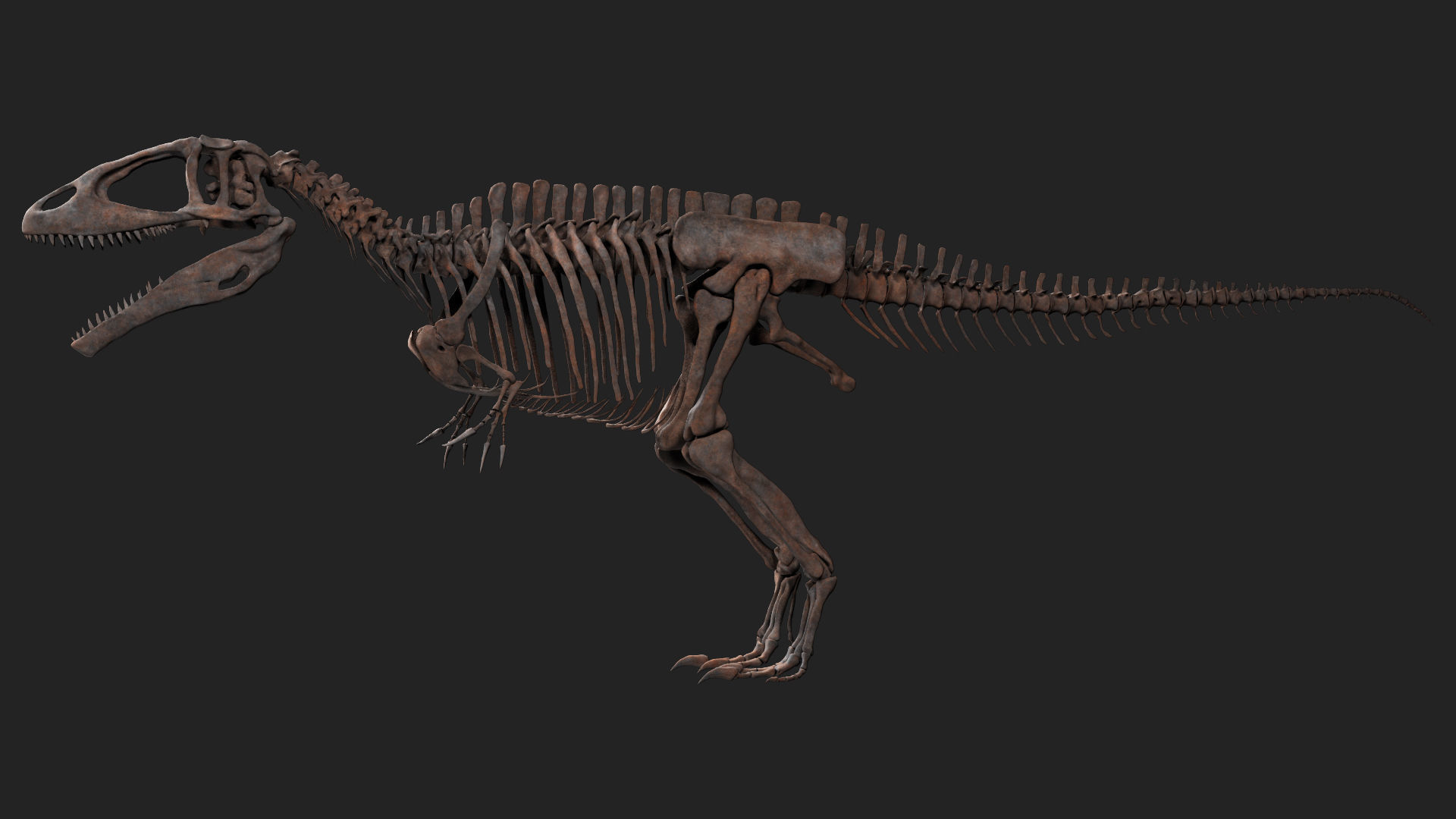 Carcharodontosaurus Skeleton 3D model_2