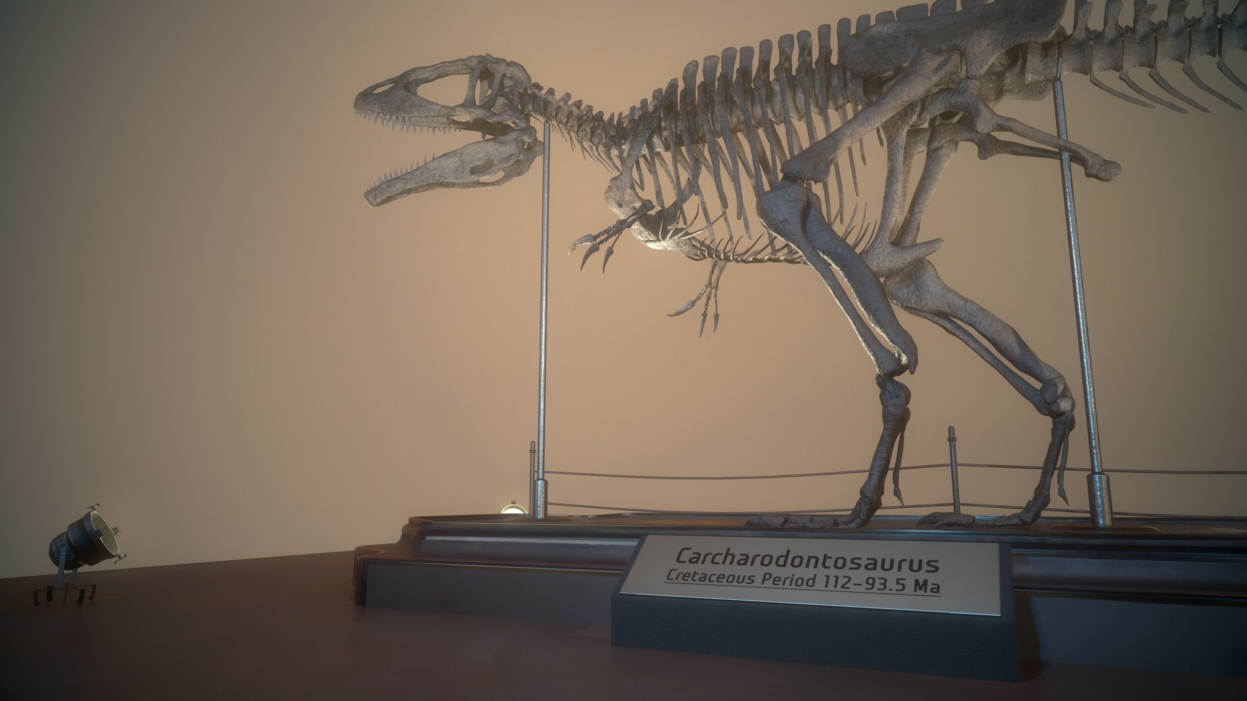 Carcharodontosaurus Skeleton 3D model_10