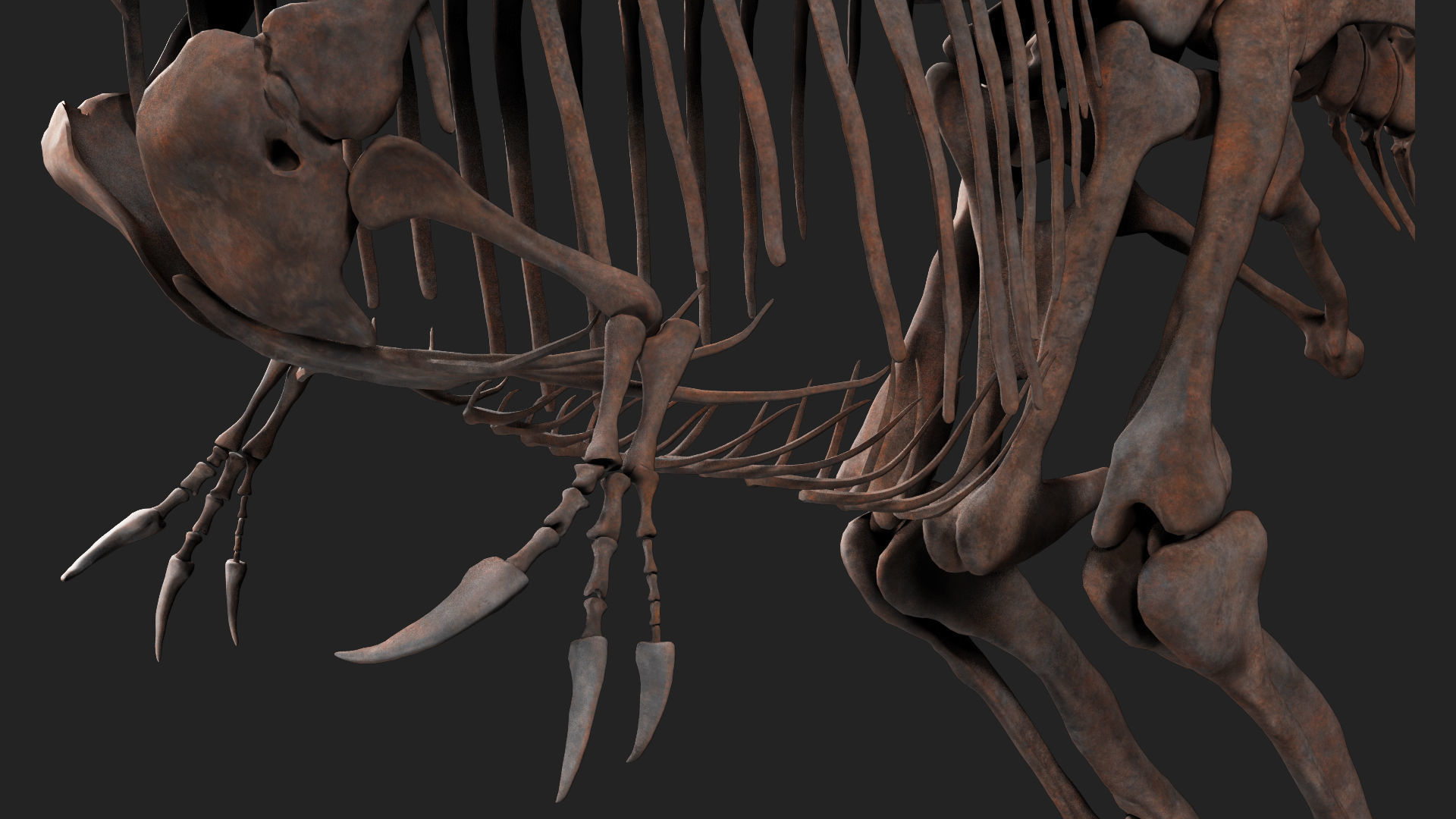 Carcharodontosaurus Skeleton 3D model_4