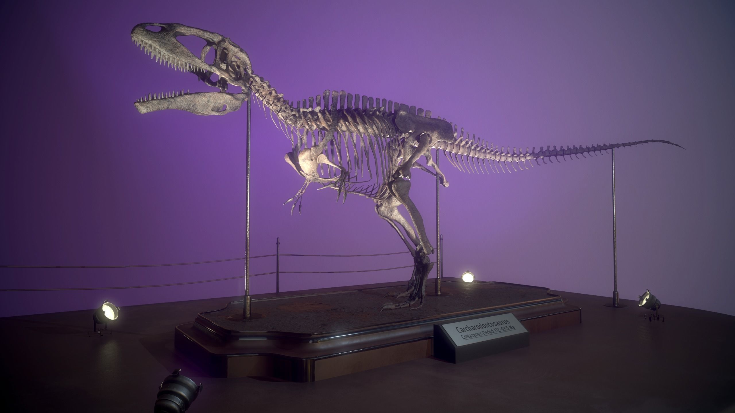Carcharodontosaurus Skeleton 3D model_12