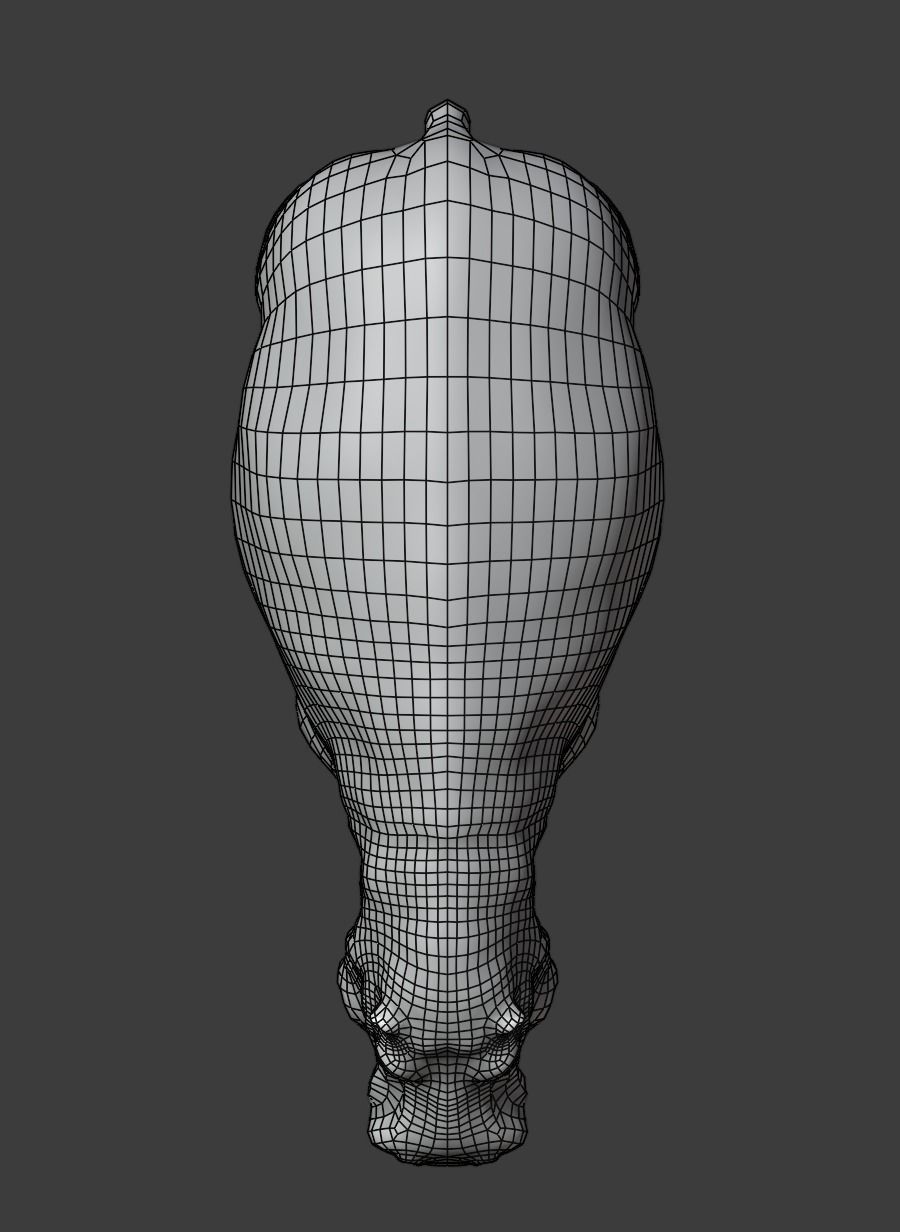 Hippopotamus Rigged Low-poly 3D model_12