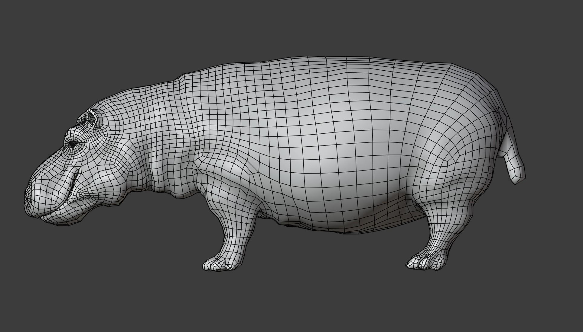 Hippopotamus Rigged Low-poly 3D model_14