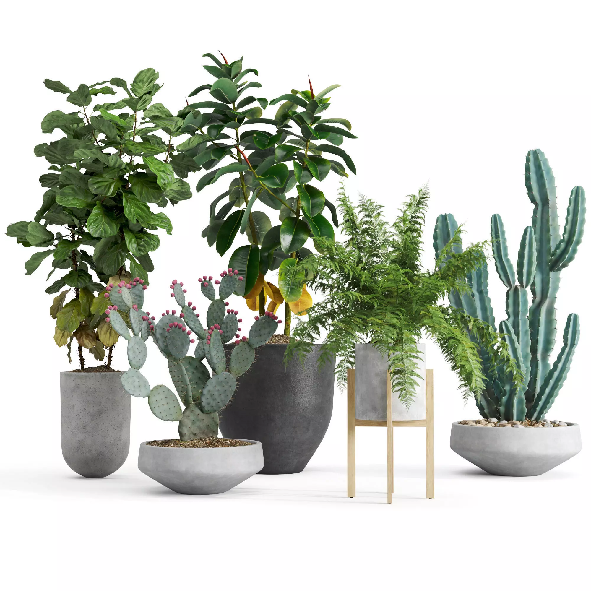 Interior Plants Set 3D model
