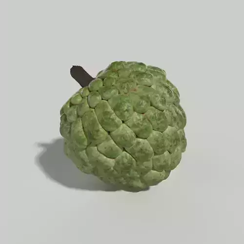 Custard Apple