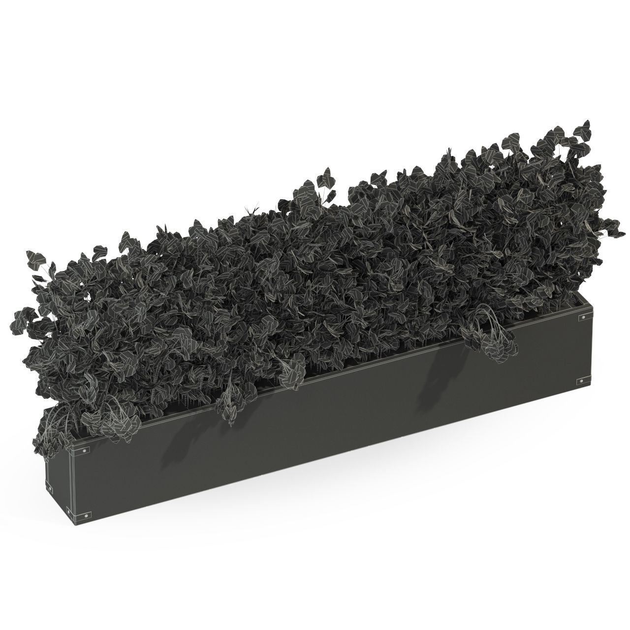 Plants collection 286 3D model_3