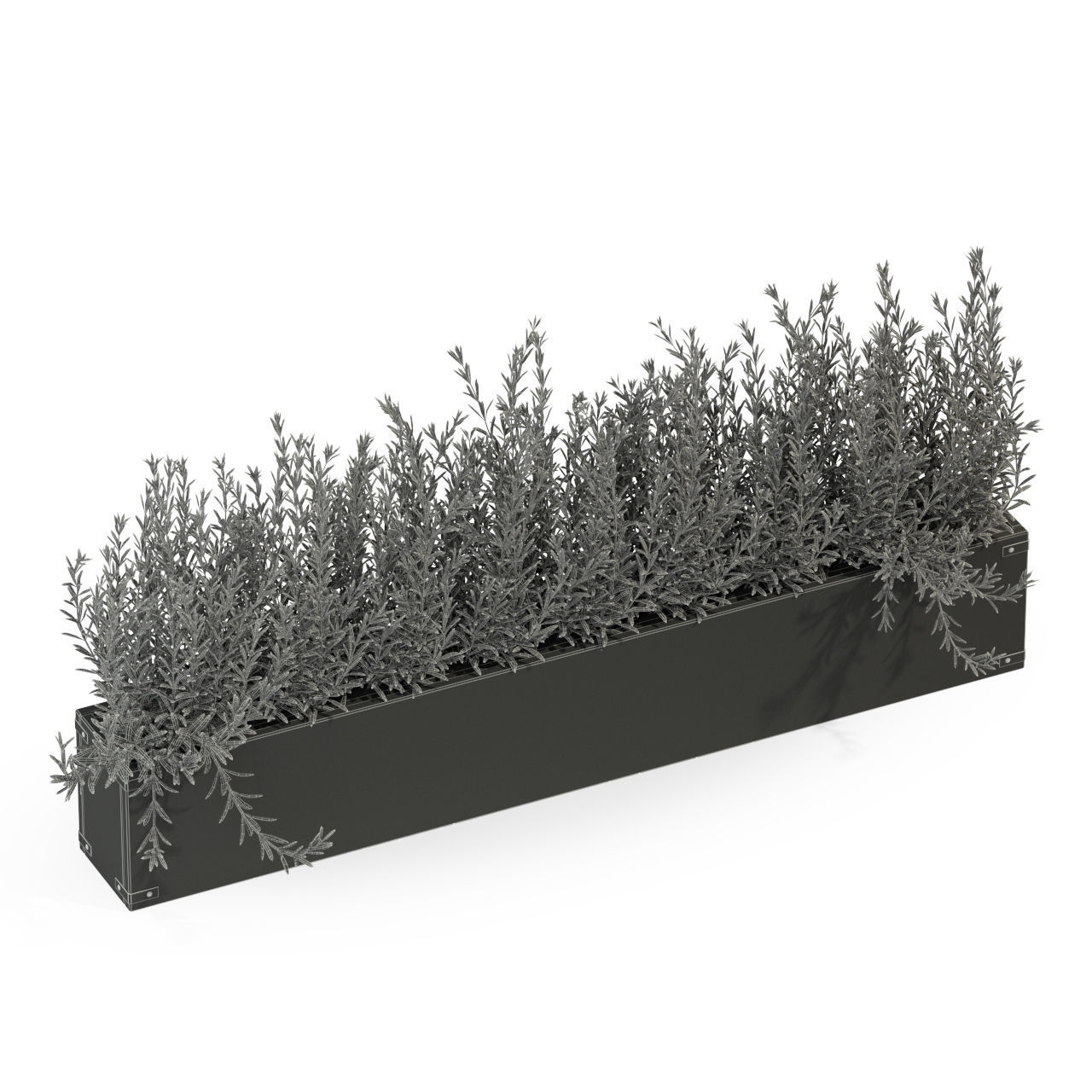 Plants collection 286 3D model_4