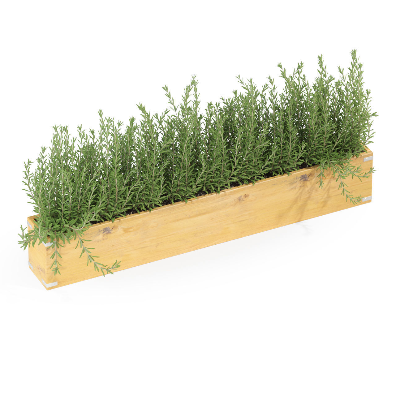 Plants collection 286 3D model_2