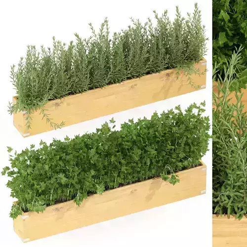 Plants collection 286 3D model
