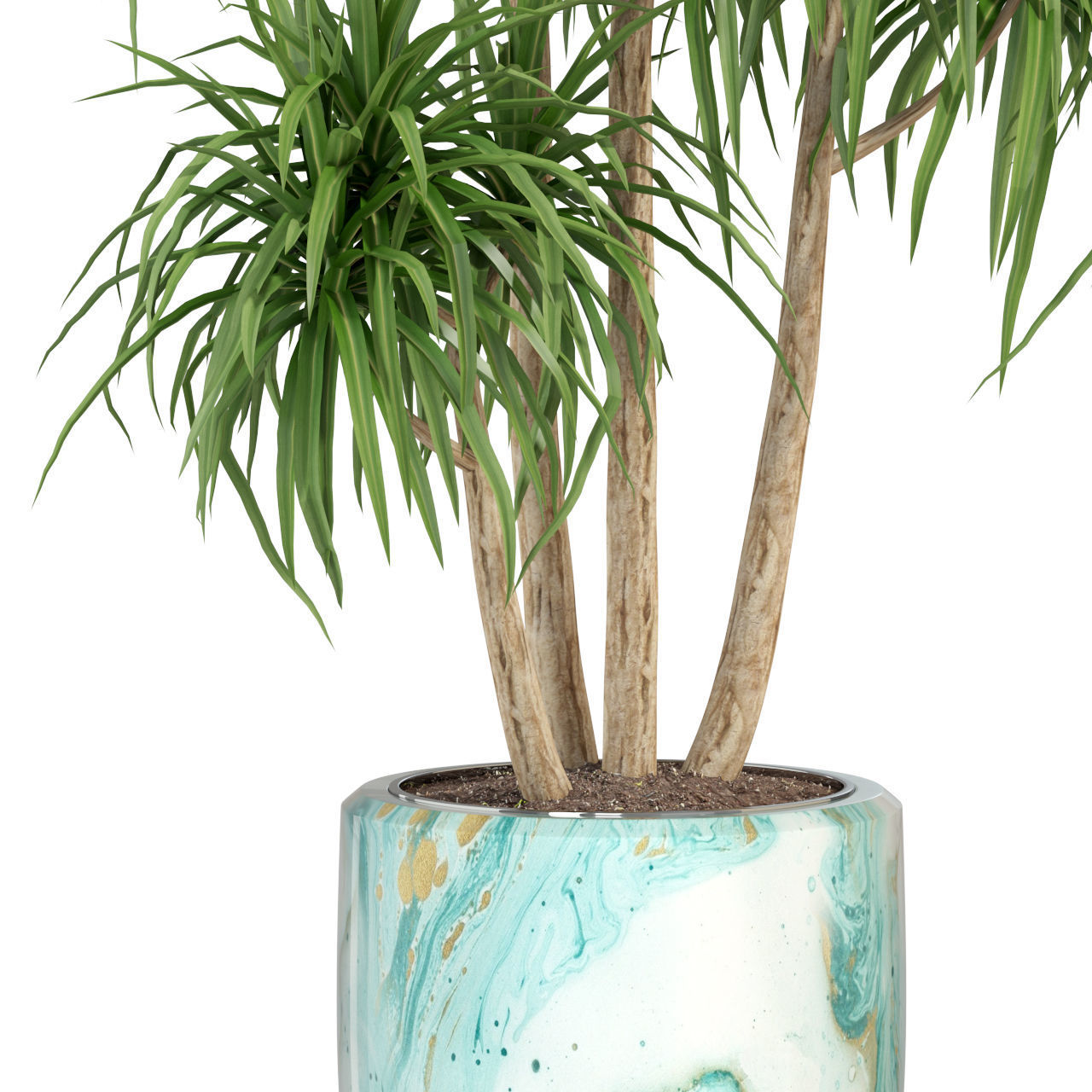 Plants collection 287 3D model_1