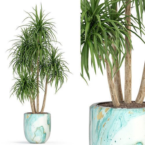 Plants collection 287 3D model