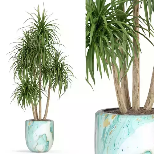 Plants collection 287 3D model