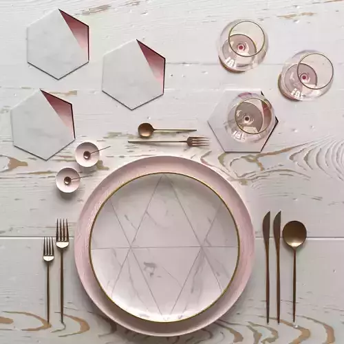 Table Setting 10 3D model