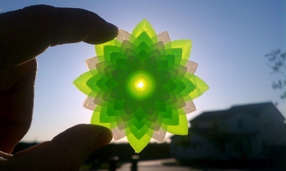 Lotus Flower Free 3D print model_4