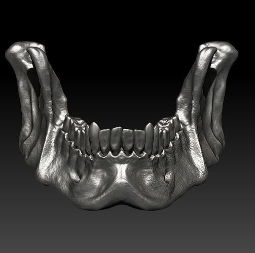Jow Big Skull Ring sin 3D print model