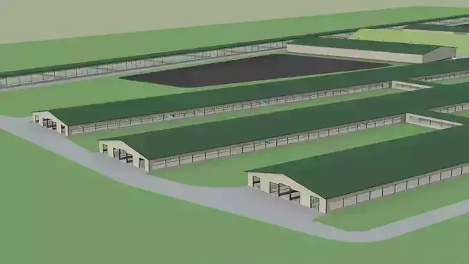 2000 Head Dairy farm