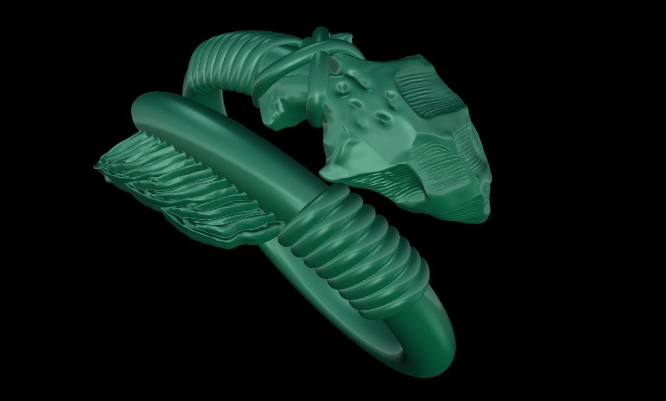 Lords arrow ring 3D print model_6