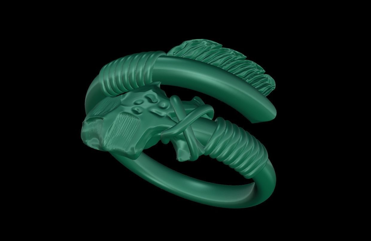 Lords arrow ring 3D print model_3