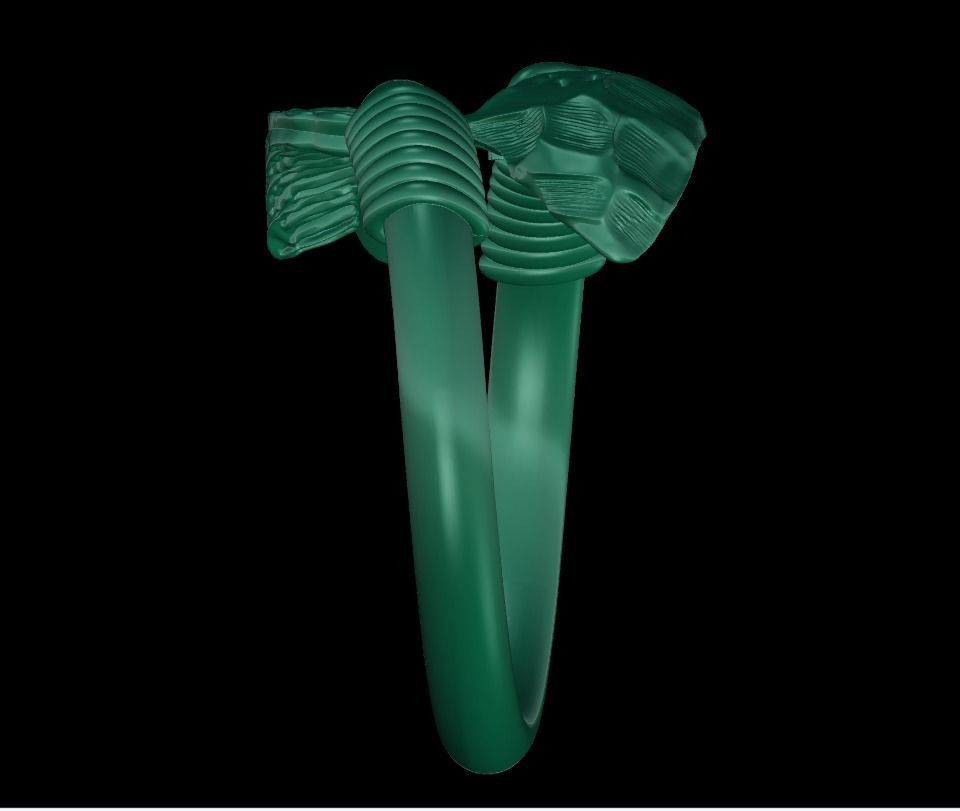 Lords arrow ring 3D print model_5