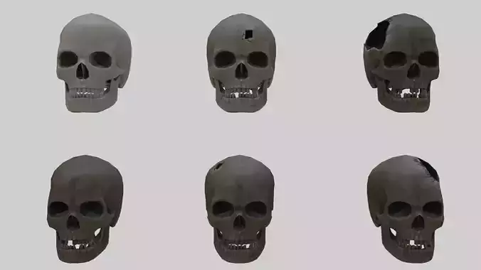 Low Poly Skull Collection With PBR Materials And Multiple Skins Low-poly 3D model