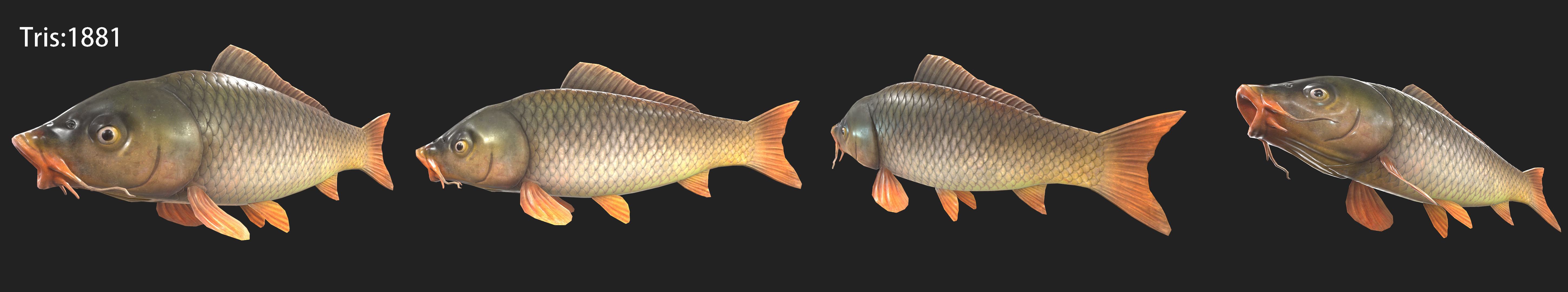 A big carp Low-poly 3D model_2