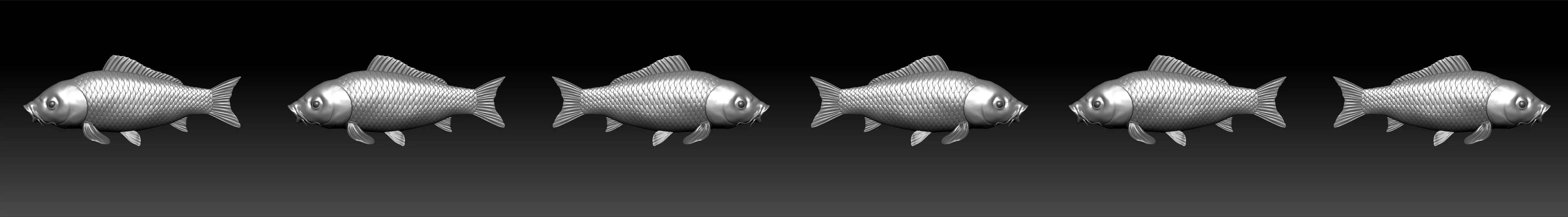 A big carp Low-poly 3D model_0