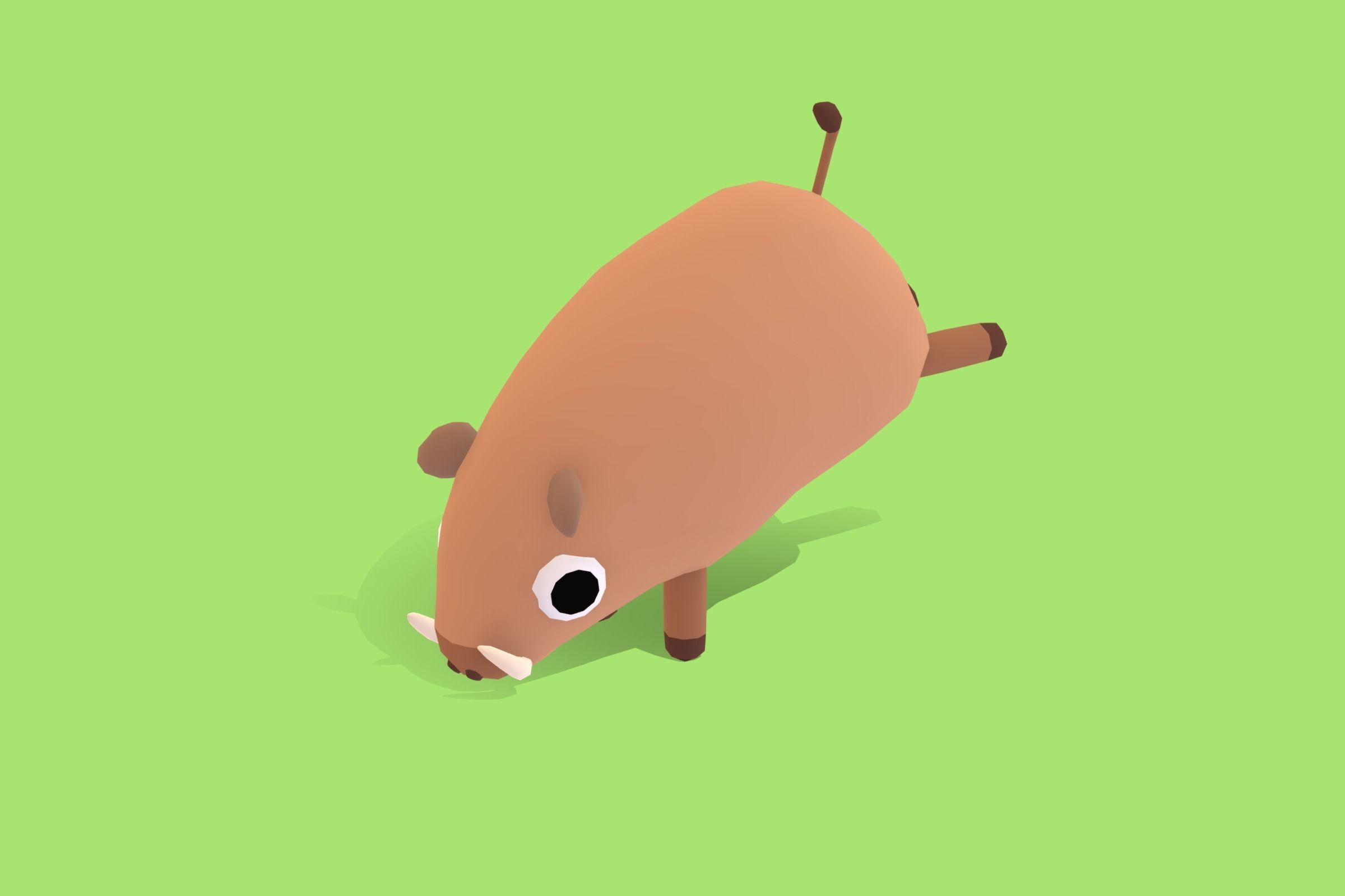Hog - Quirky Series Low-poly 3D model_5