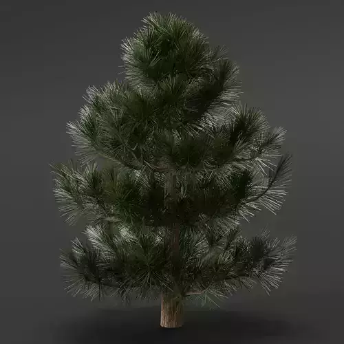 pine tree 3D model
