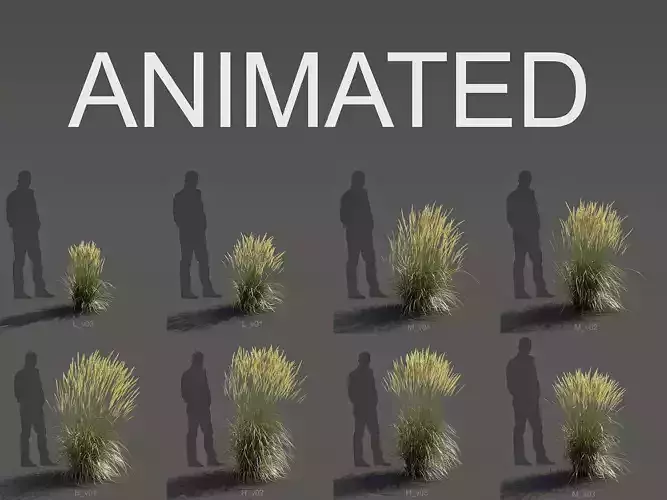 Looped Wind Animation of Feather Reed Grass  - 9 animated models 3D model