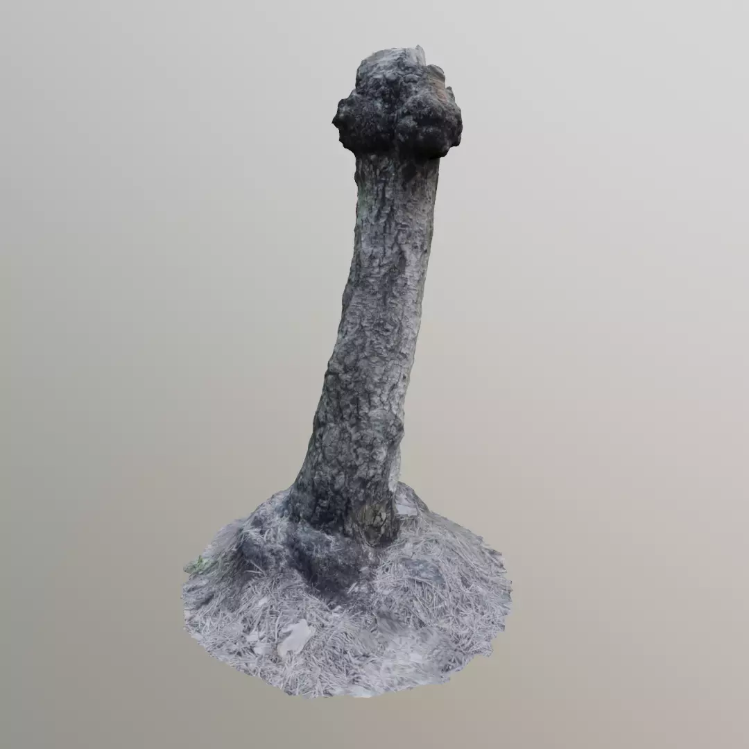 3D Scanned Stump 13 3D model_0