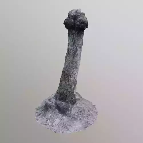 3D Scanned Stump 13
