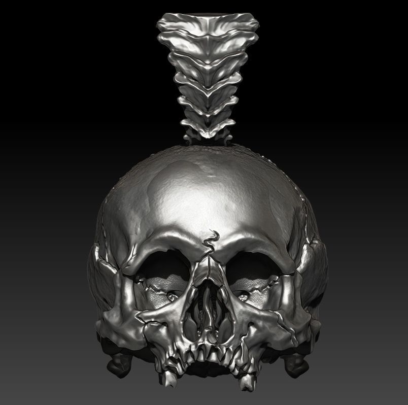 Big Skull Pendant  Rotten 3D print model_0