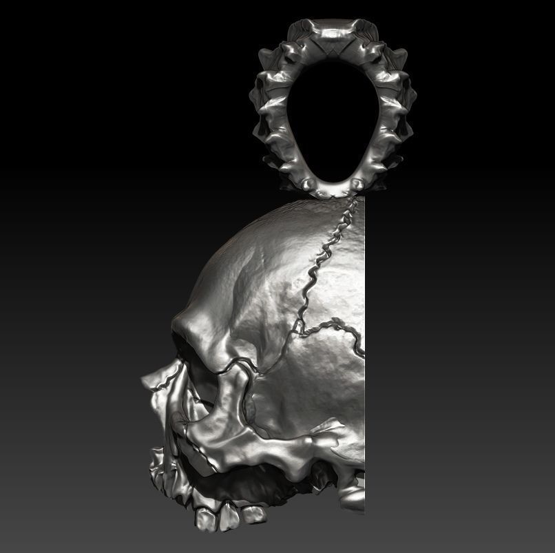 Big Skull Pendant  Rotten 3D print model_1