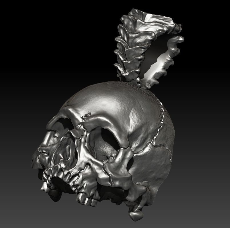 Big Skull Pendant  Rotten 3D print model_2