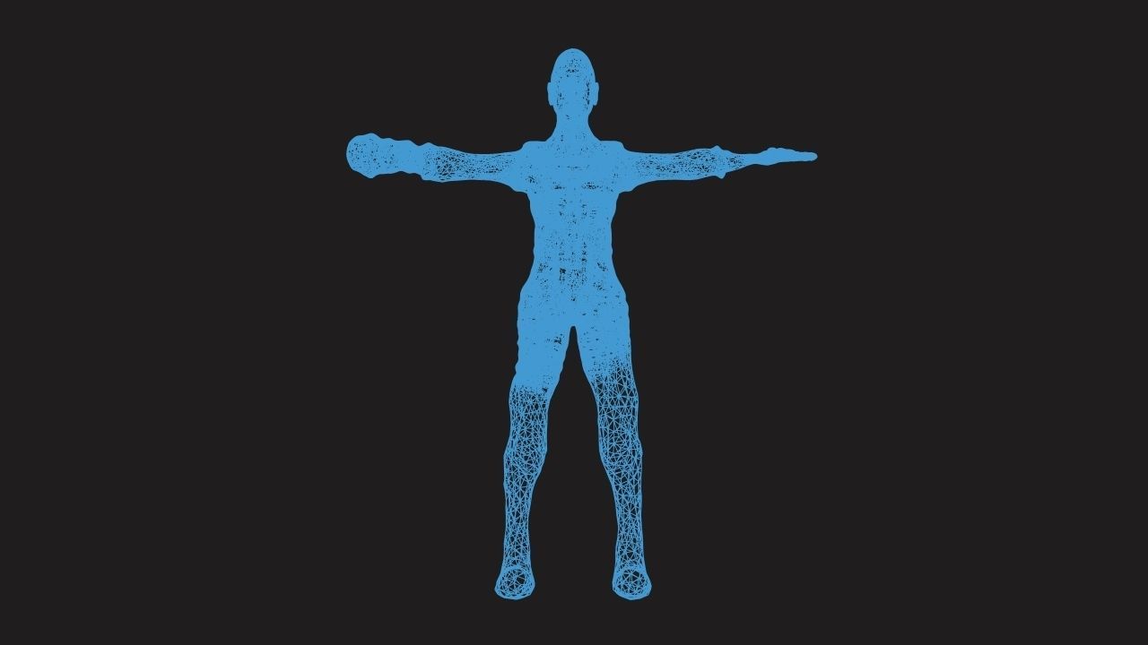 Scluptaco human 3D print model_3