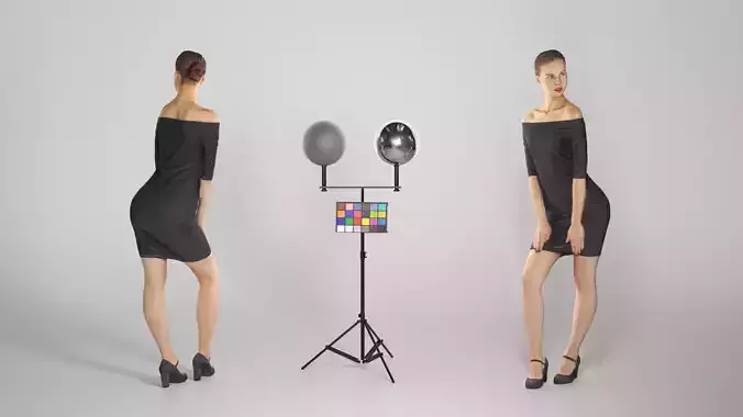 Attractive brunette in a black dress 174