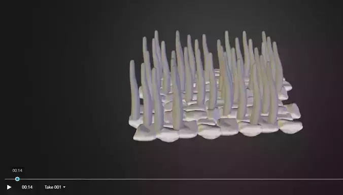 Ciliated Epithelium Low-poly 3D model
