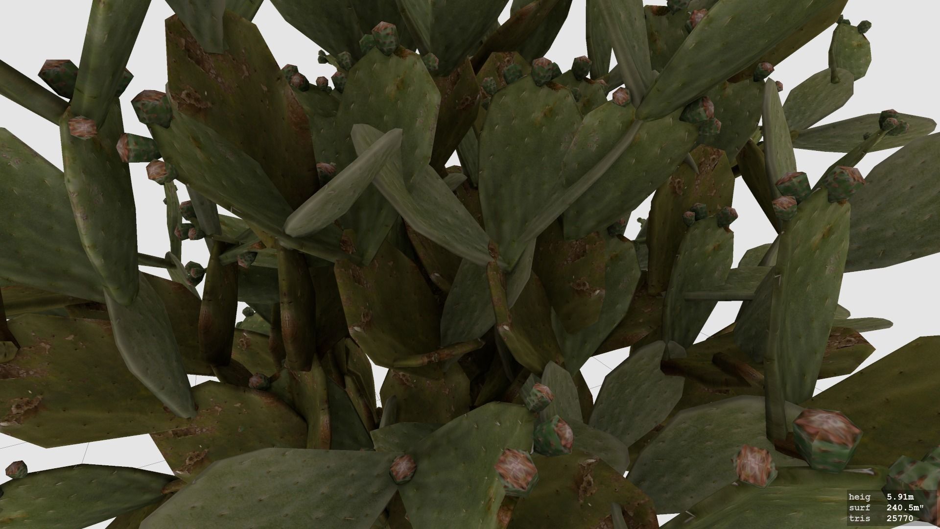Cactus  - Prickly Pear - Opuntia Ficus-Indica Low-poly 3D model_1