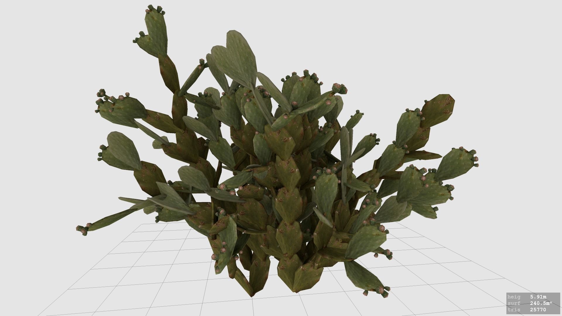 Cactus  - Prickly Pear - Opuntia Ficus-Indica Low-poly 3D model_2