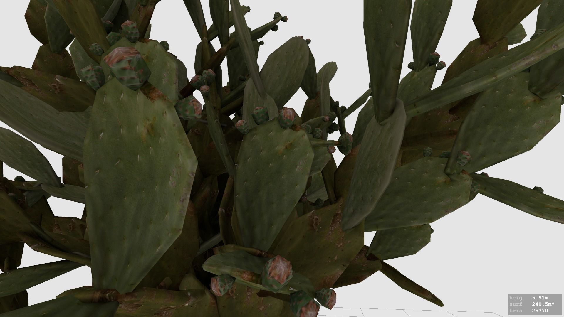 Cactus  - Prickly Pear - Opuntia Ficus-Indica Low-poly 3D model_3
