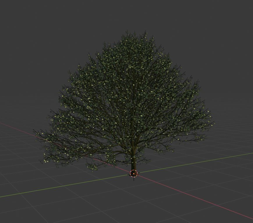 Hornbeam Tree 3d model European hornbeam Low-poly 3D model_5