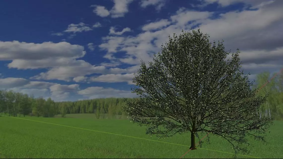 Hornbeam Tree 3d model European hornbeam Low-poly 3D model_0