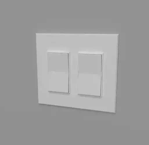 Duel Light Switch