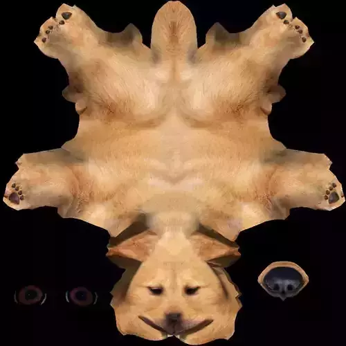 dog chien  3D model