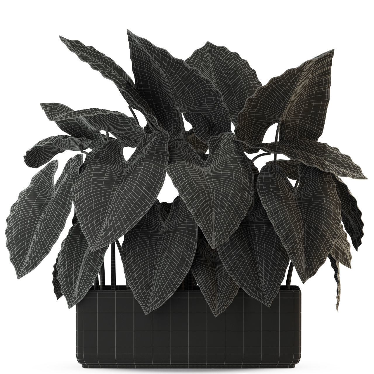 Plants collection 294 3D model_1