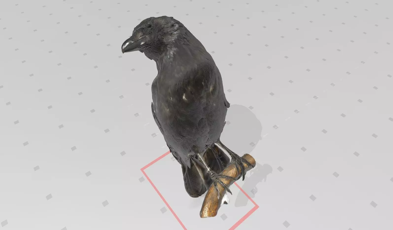 Real life Crow 3D print model 3D print model