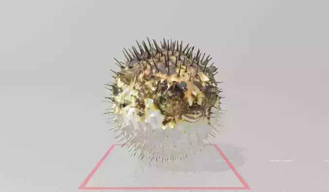 Real life Hadgehog Fish 3D print model 3D print model