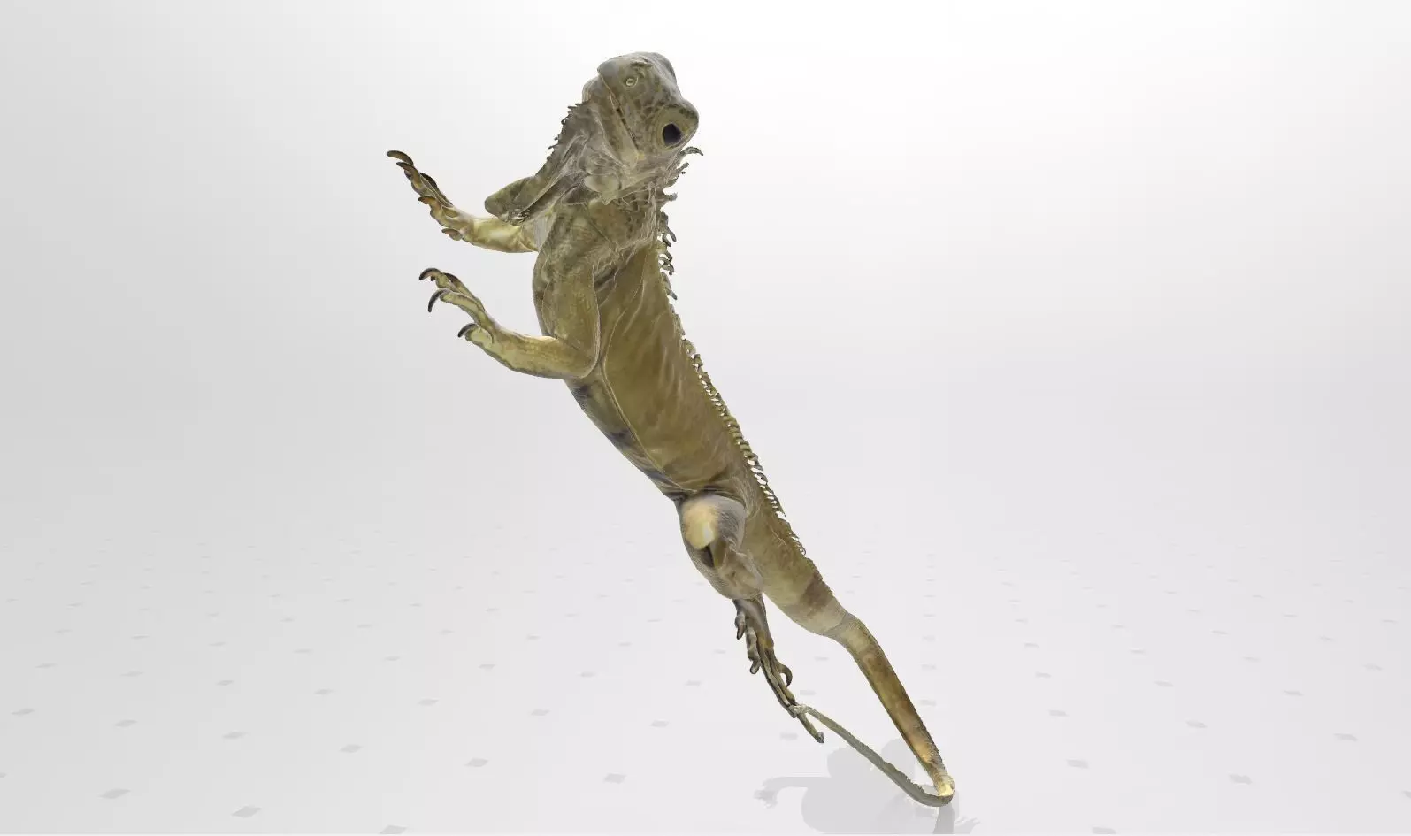Real life Iguana 3D print model 3D print model